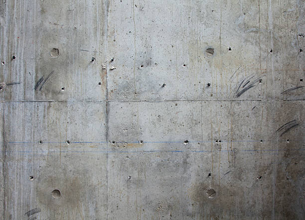 Best Custom Concrete Contractor  in Sunray, TX